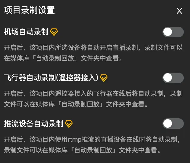项目设置中的自动录制开关