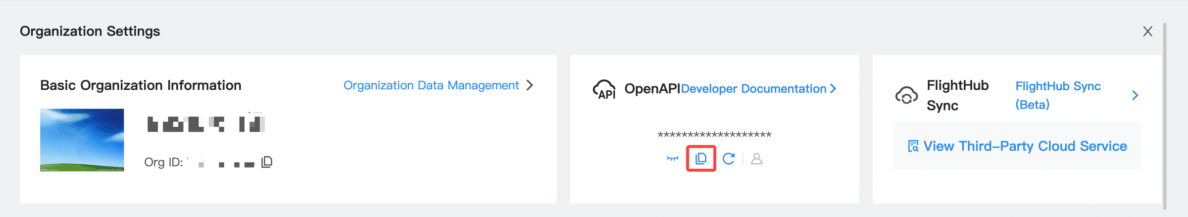Copy the organization key
